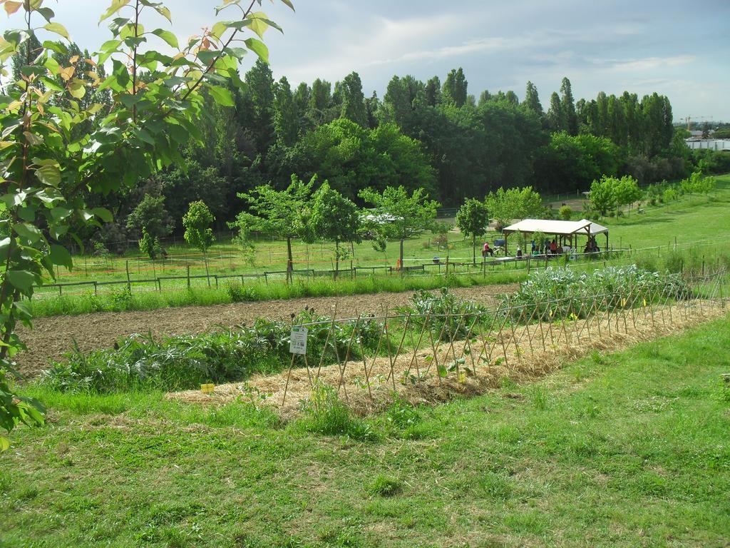 Agriturismo Case Mori Rimini Buitenkant foto